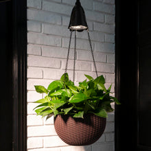 Load image into Gallery viewer, 30"H Solar Lighted Brown Plastic Hanging Basket/Planter
