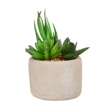 Load image into Gallery viewer, Artificial Succulent Plants in Cement Pots, Set of 3