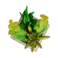 Load image into Gallery viewer, Artificial Succulent Plants in Cement Pots, Set of 3