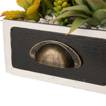 Load image into Gallery viewer, 6.25"H Succulent Plants in Wooden Box