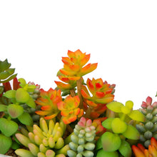 Load image into Gallery viewer, 13.75"H Succulent Plants in Handled Wooden Box