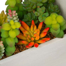 Load image into Gallery viewer, 13.75"H Succulent Plants in Handled Wooden Box