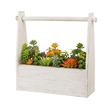 Load image into Gallery viewer, 13.75"H Succulent Plants in Handled Wooden Box