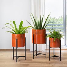 Load image into Gallery viewer, Modern Washed Orange Metal Plant Stands, Set of 3