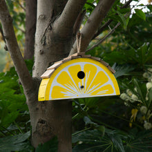 Load image into Gallery viewer, 11.5"L Distressed Solid Wood Lemon Birdhouse
