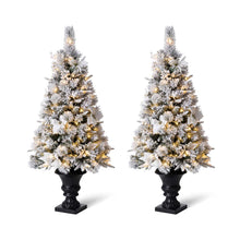 Load image into Gallery viewer, 4ft Pre-Lit Pine Artificial Christmas Porch Tree with 100 Warm White Lights and Poinsettias, Set of 2