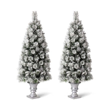Load image into Gallery viewer, 5ft Pre-Lit Snow Flocked Pine Artificial Christmas Porch Tree with 150 Warm White Lights, Set of 2