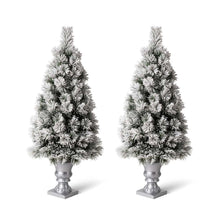 Load image into Gallery viewer, 4ft Pre-Lit Snow Flocked Pine Artificial Christmas Porch Tree with 100 Warm White Lights, Set of 2