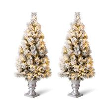 Load image into Gallery viewer, 4ft Pre-Lit Snow Flocked Pine Artificial Christmas Porch Tree with 100 Warm White Lights, Set of 2