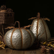 Load image into Gallery viewer, Rustic Galvanized Metal Pumpkin Decor, Set of 2
