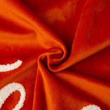 Load image into Gallery viewer, Set of 2 Velvet Pillow Cover with Word