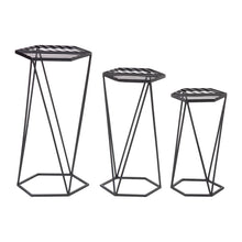 Load image into Gallery viewer, Modern Hexagon Black Metal Plant Stand, Set of 3