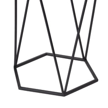 Load image into Gallery viewer, Modern Hexagon Black Metal Plant Stand, Set of 3