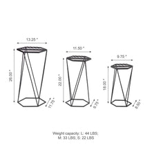 Load image into Gallery viewer, Modern Hexagon Black Metal Plant Stand, Set of 3