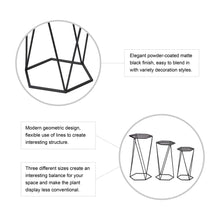 Load image into Gallery viewer, Modern Hexagon Black Metal Plant Stand, Set of 3