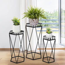 Load image into Gallery viewer, Modern Hexagon Black Metal Plant Stand, Set of 3