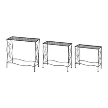 Load image into Gallery viewer, Rectangular Nesting Black Metal Plant Stand, Set of 3