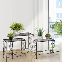 Load image into Gallery viewer, Rectangular Nesting Black Metal Plant Stand, Set of 3