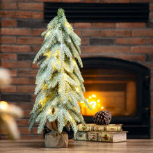Load image into Gallery viewer, 22"H Lighted Frosted Artificial Table Tree