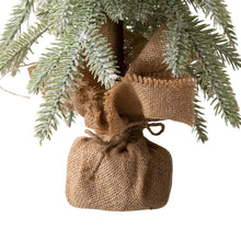 Load image into Gallery viewer, 22"H Lighted Frosted Artificial Table Tree