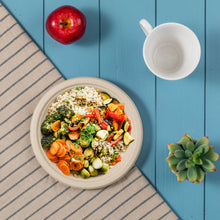 Load image into Gallery viewer, 9 inch Natural Compostable & Disposable Sugarcane Plates, 300 Pack