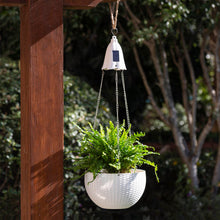 Load image into Gallery viewer, 30"H Solar Lighted White Plastic Hanging Planter