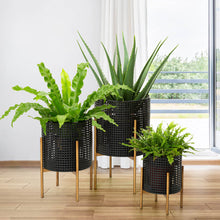Load image into Gallery viewer, Faux Wicker Black Metal Pot Planter Stand, Set of 3
