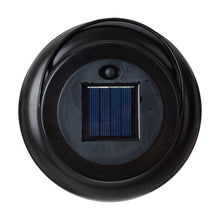 Load image into Gallery viewer, 8.75"H Metal Cutout Solar Powered Outdoor Hanging Lantern