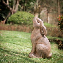Load image into Gallery viewer, 16.5"H MGO Sitting Rabbit Statue