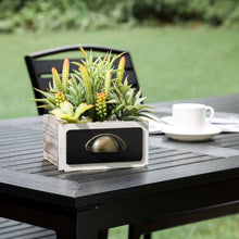 Load image into Gallery viewer, 6.25&quot;H Succulent Plants in Wooden Box
