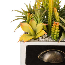 Load image into Gallery viewer, 6.25&quot;H Succulent Plants in Wooden Box

