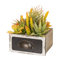 Load image into Gallery viewer, 6.25&quot;H Succulent Plants in Wooden Box
