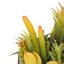 Load image into Gallery viewer, 6.25&quot;H Succulent Plants in Wooden Box
