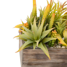 Load image into Gallery viewer, 6.25&quot;H Succulent Plants in Wooden Box
