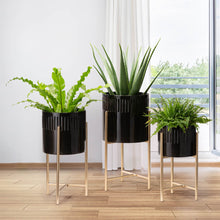 Load image into Gallery viewer, Modern Glossy Black Metal Plant Stands, Set of 3
