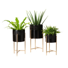 Load image into Gallery viewer, Modern Glossy Black Metal Plant Stands, Set of 3
