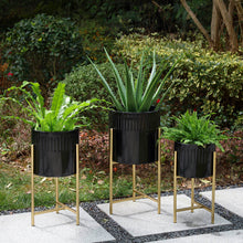 Load image into Gallery viewer, Modern Glossy Black Metal Plant Stands, Set of 3
