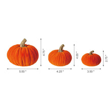 Load image into Gallery viewer, Orange Velvet/Resin Pumpkins Decor, Set of 3
