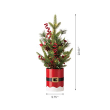 Load image into Gallery viewer, 22&quot;H Lighted Santa Belt Potted Artificial Table Tree
